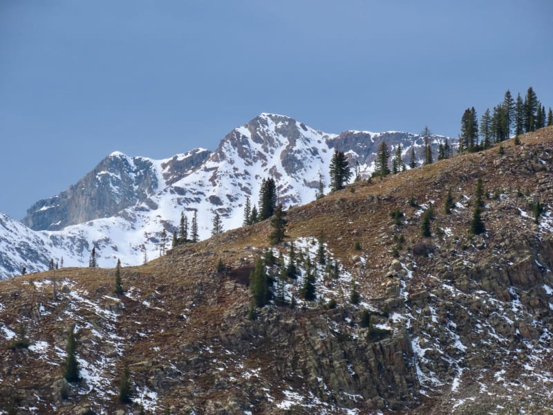 Observation photo 1