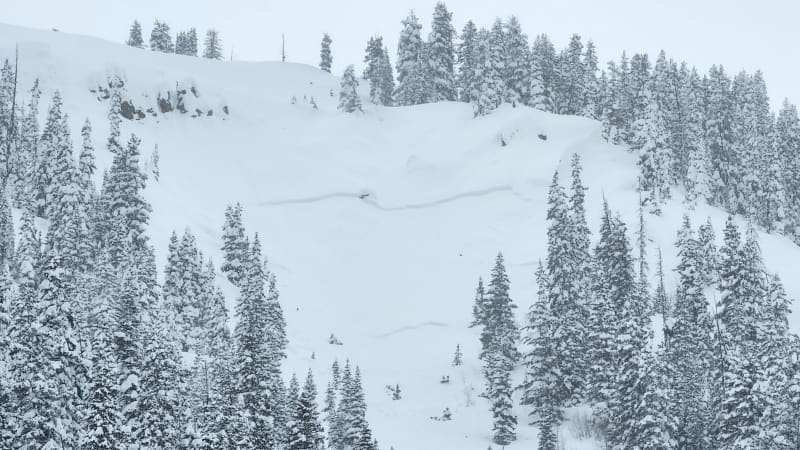 Observation photo 1