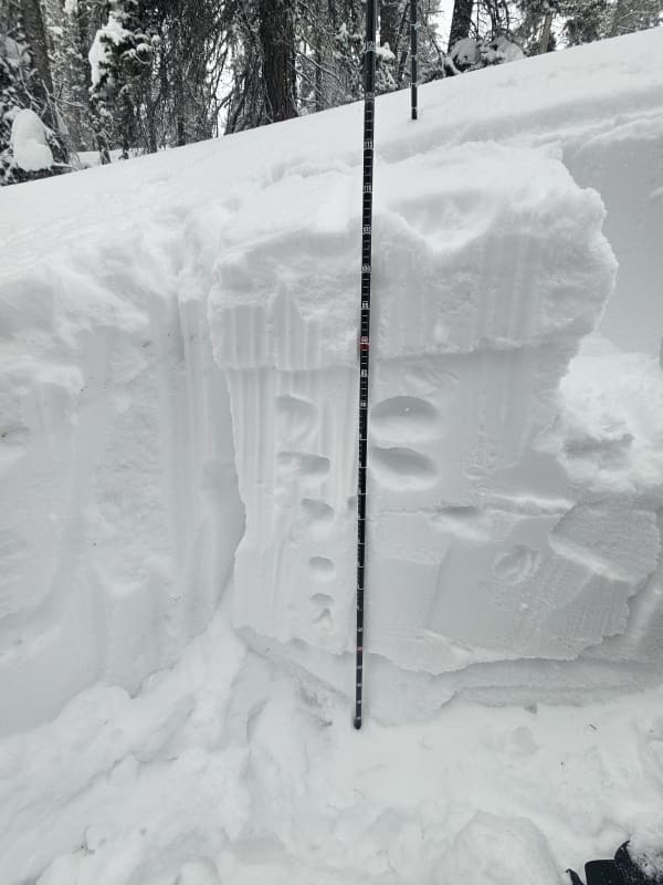 Observation photo 2