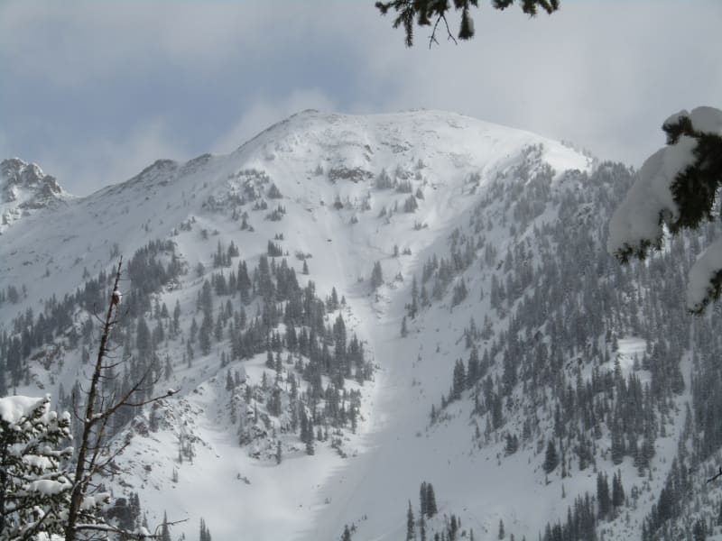 Observation photo 3