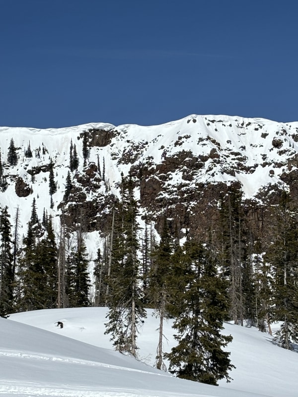 Observation photo 4
