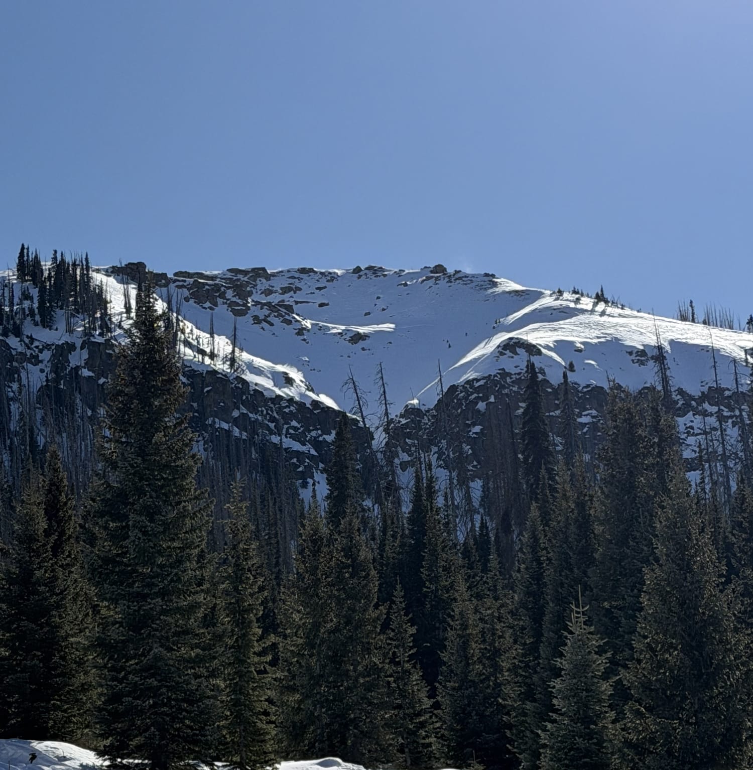 Observation photo