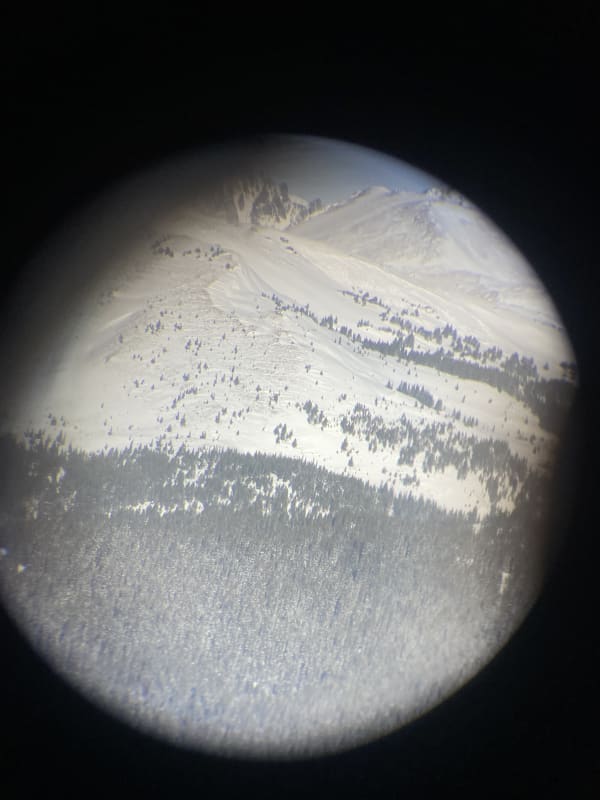 Observation photo 1