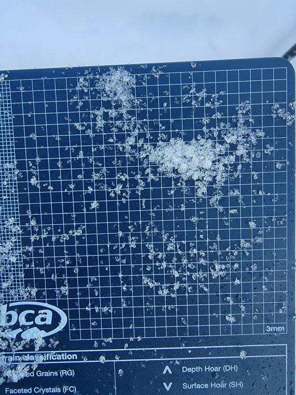 Observation photo 7