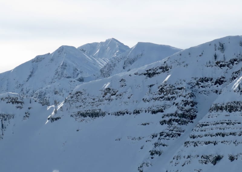 Observation photo 2