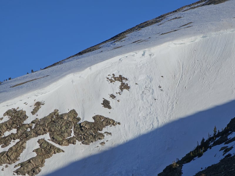 Observation photo 1