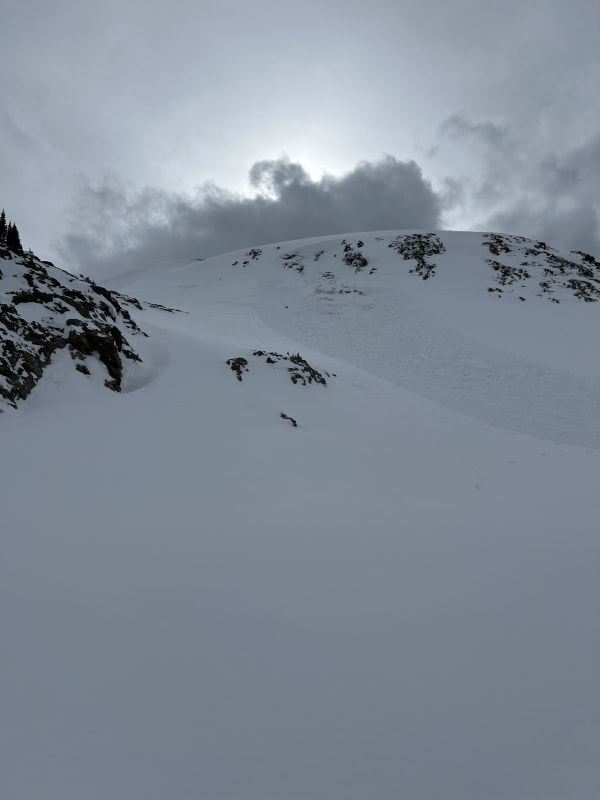 Observation photo 2
