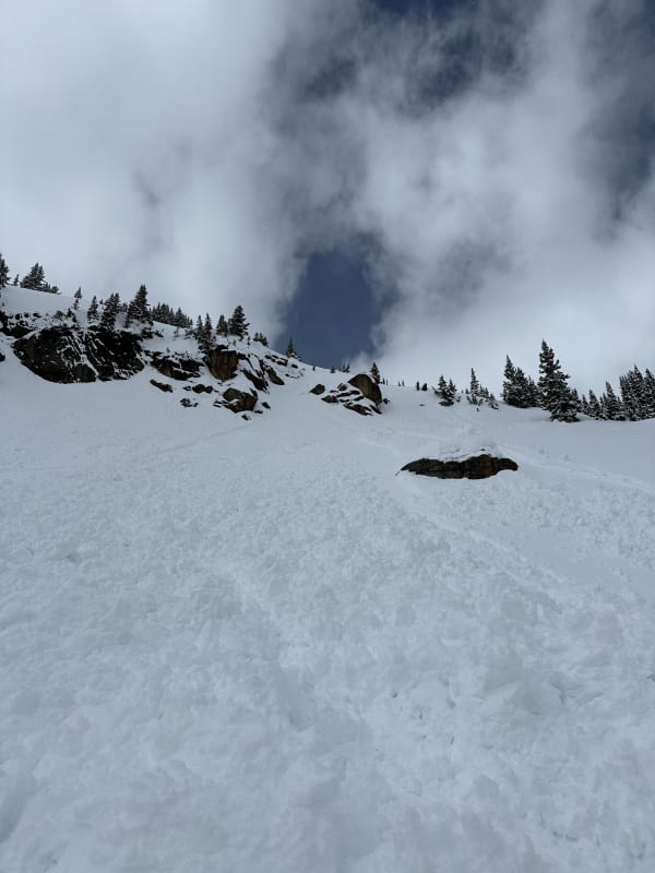 Observation photo 2