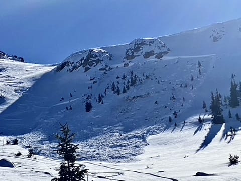 Observation photo 1