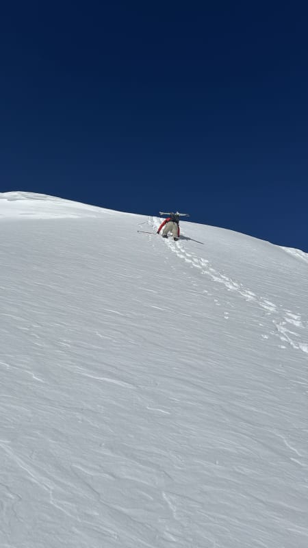 Observation photo 1