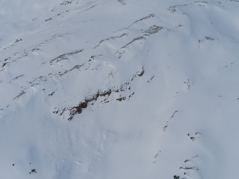 Observation photo 5