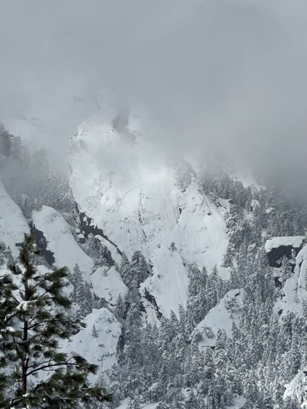Observation photo 1