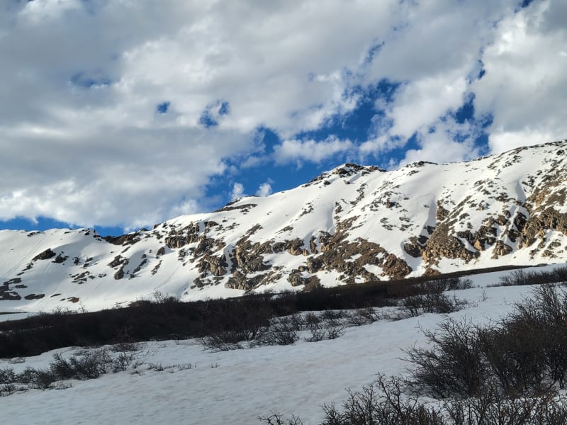 Observation photo 4