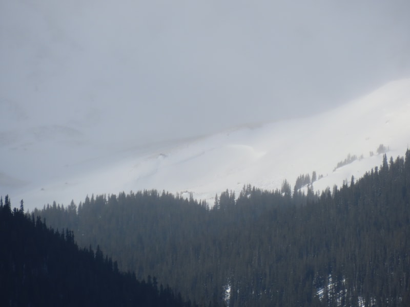 Observation photo 2