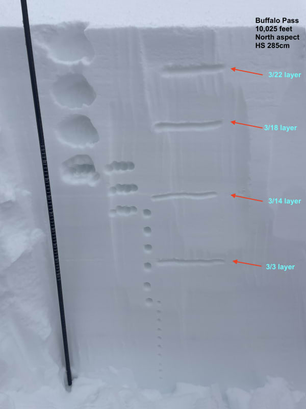 Observation photo 6
