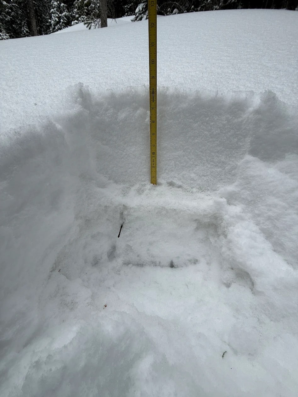 Observation photo