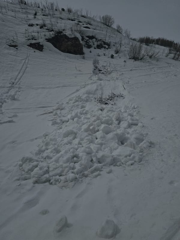 Observation photo 1