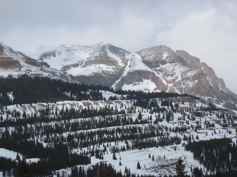 Observation photo 1