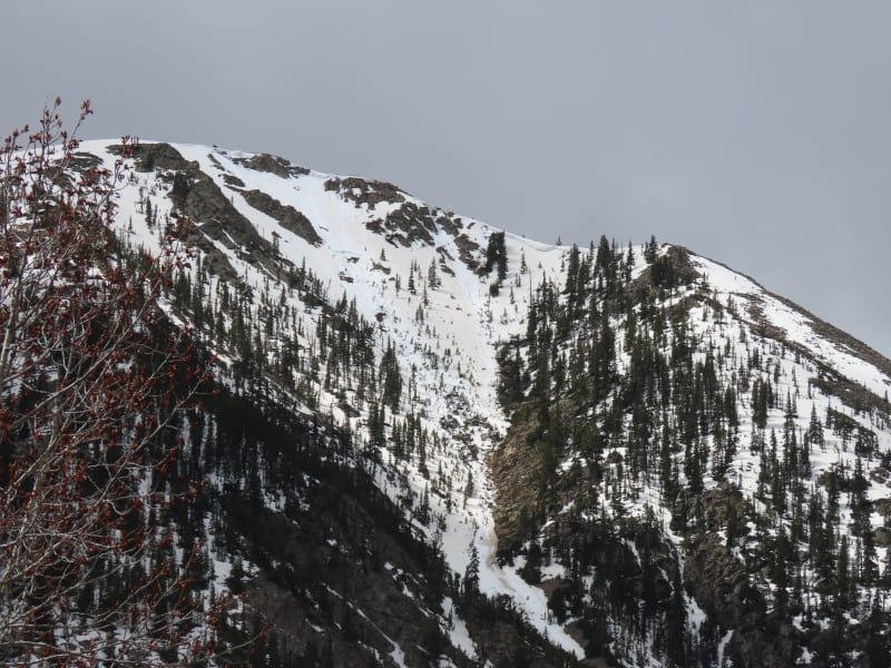 Observation photo 2