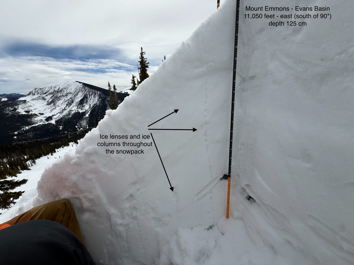 Observation photo