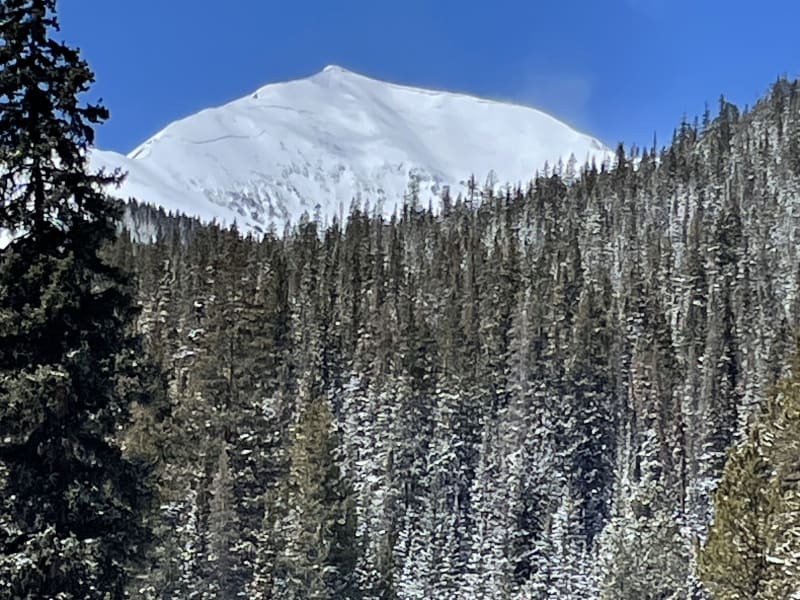 Observation photo 1