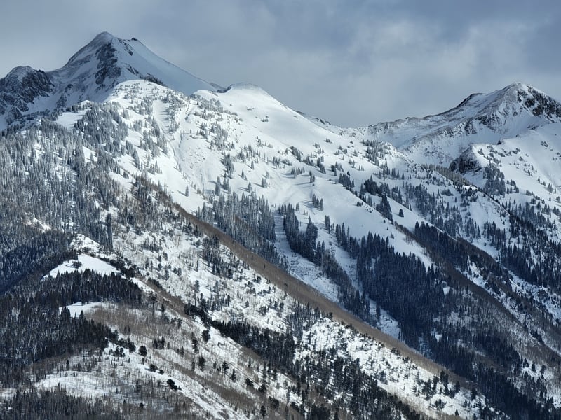 Observation photo 1