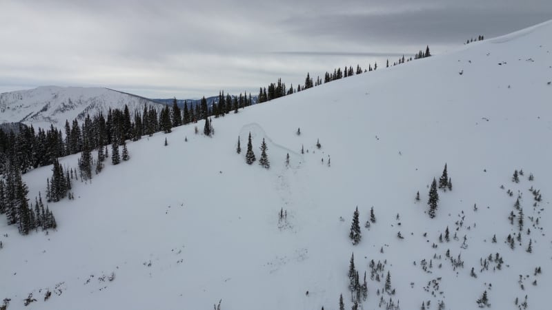 Observation photo 4