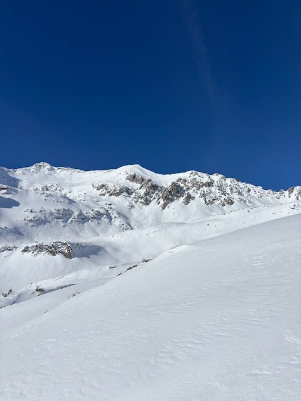 Observation photo