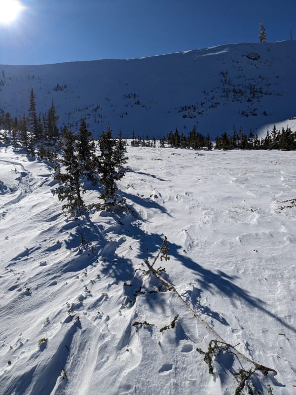 Observation photo 4