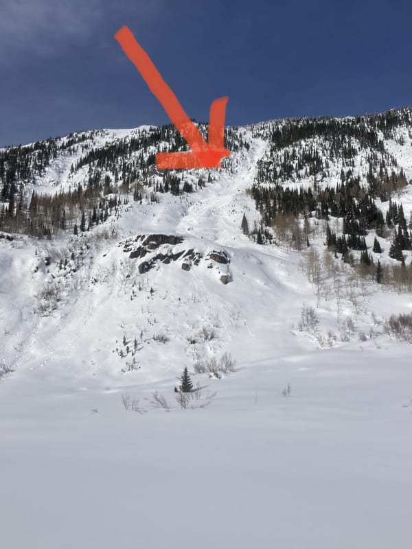 Observation photo 1