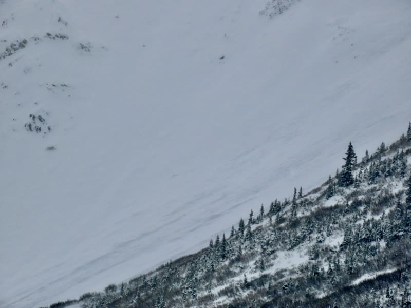 Observation photo 3
