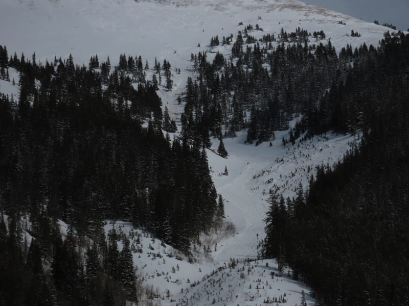 Observation photo 1