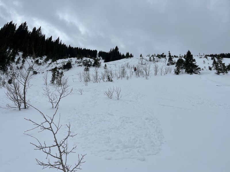 Observation photo 1
