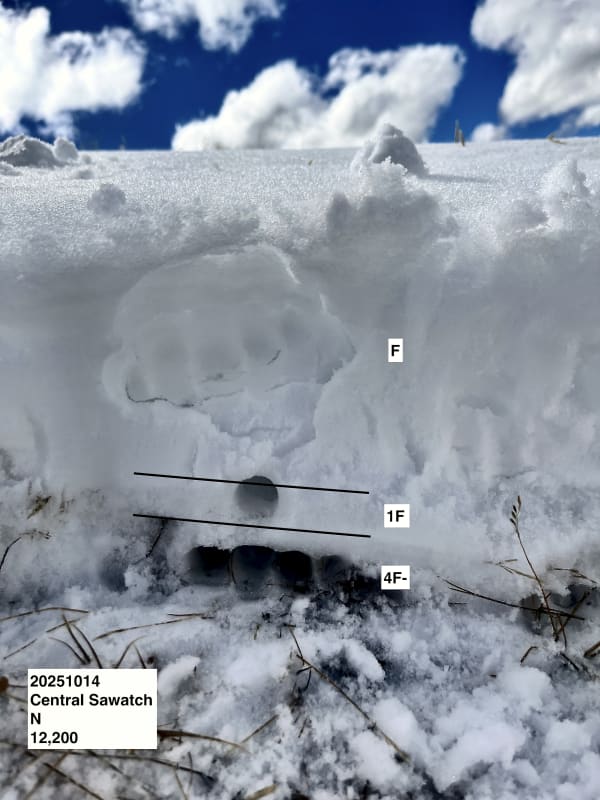 Observation photo 1