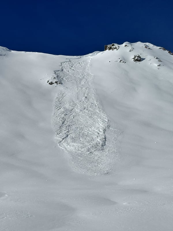 Observation photo 1