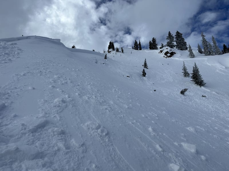 Observation photo 1