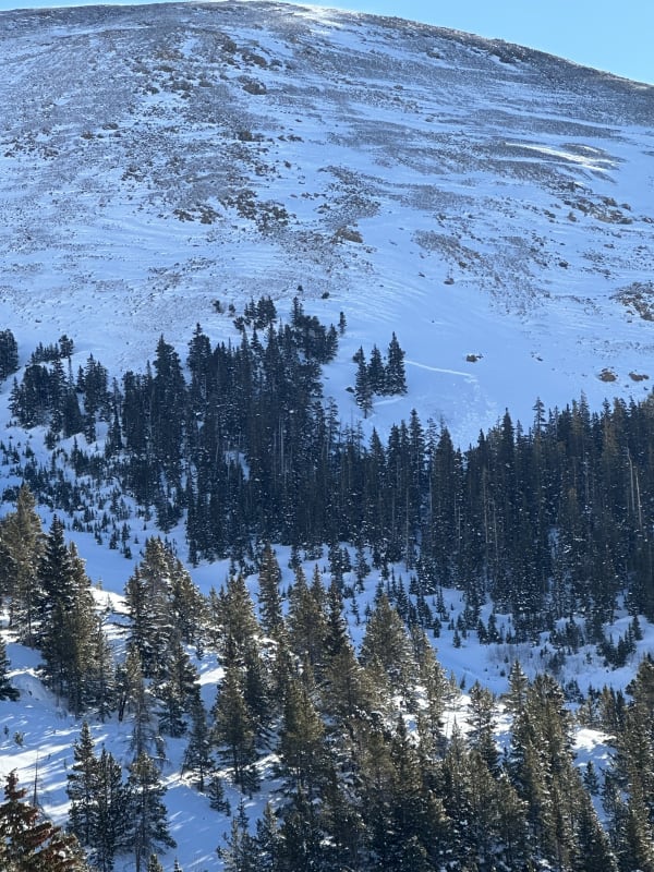 Observation photo 1