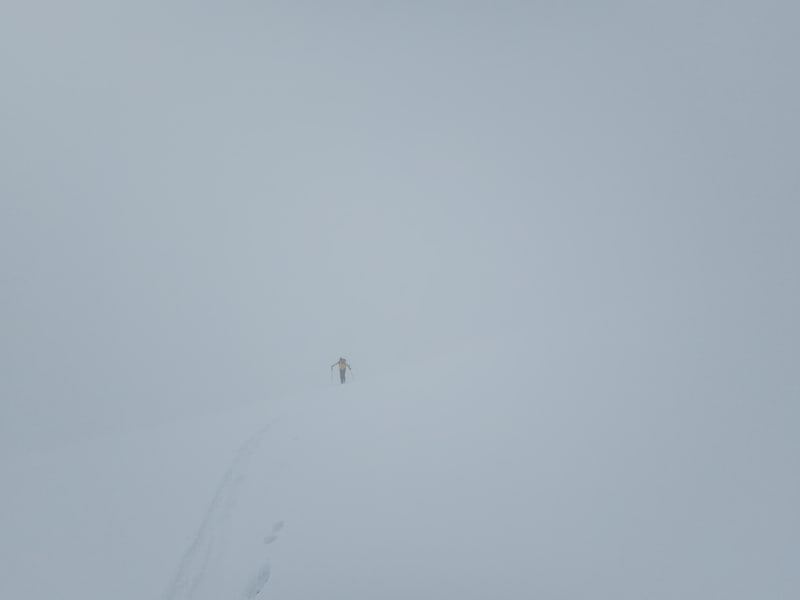 Observation photo 5