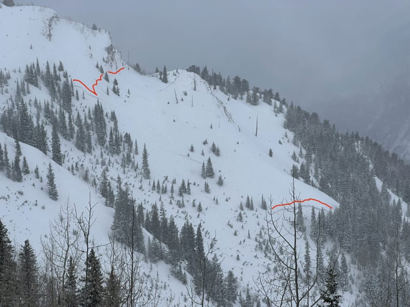 Observation photo 1