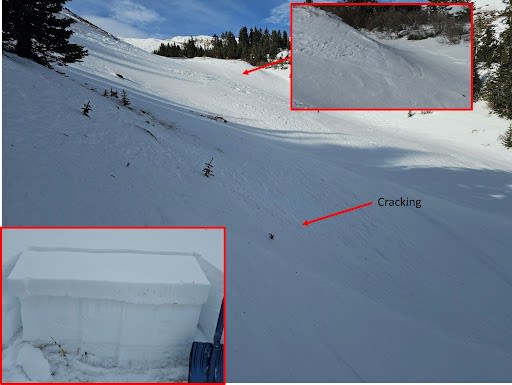 Observation photo