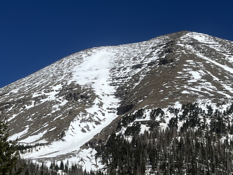 Observation photo 4