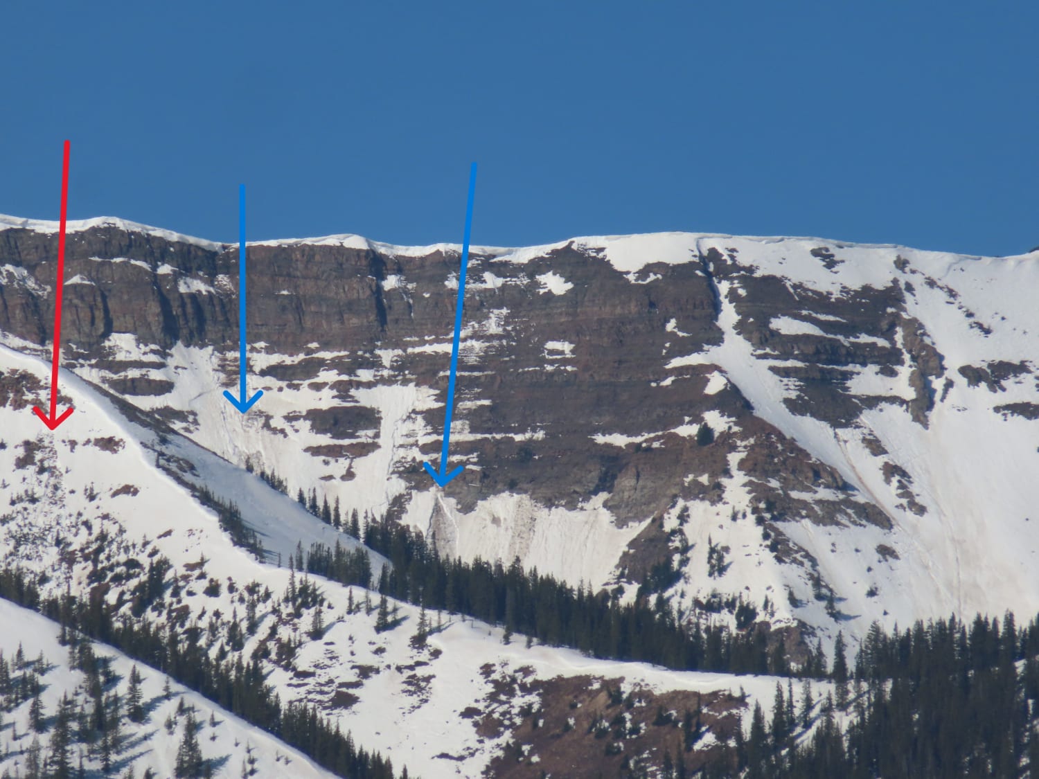 Observation photo