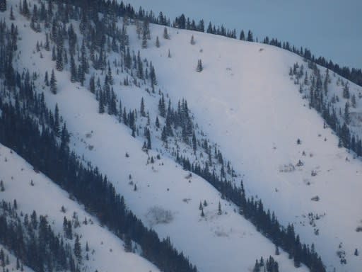 Observation photo 2
