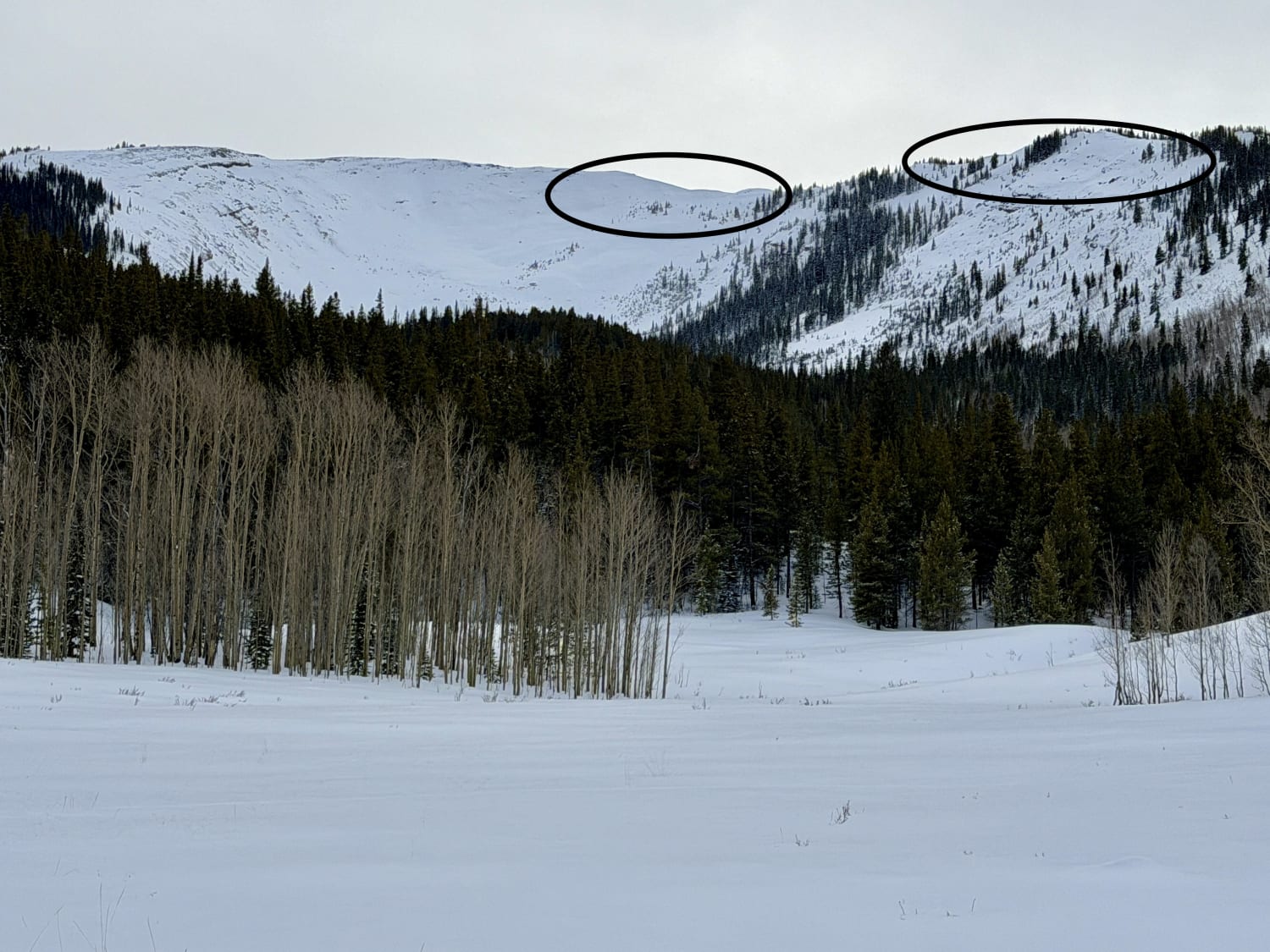 Observation photo