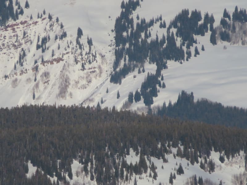 Observation photo 9
