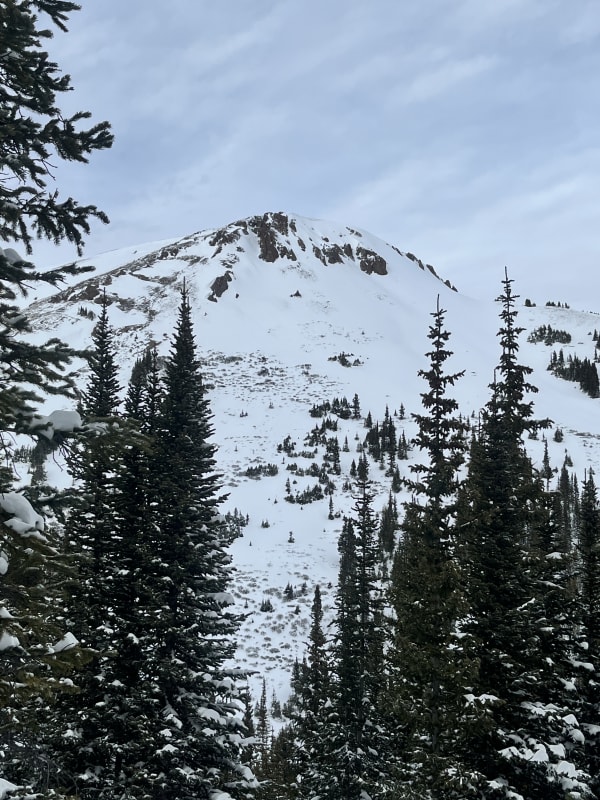 Observation photo 7