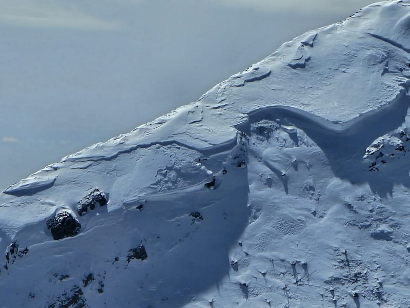 Observation photo 5
