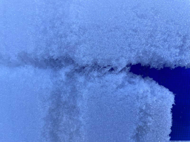 Observation photo 2