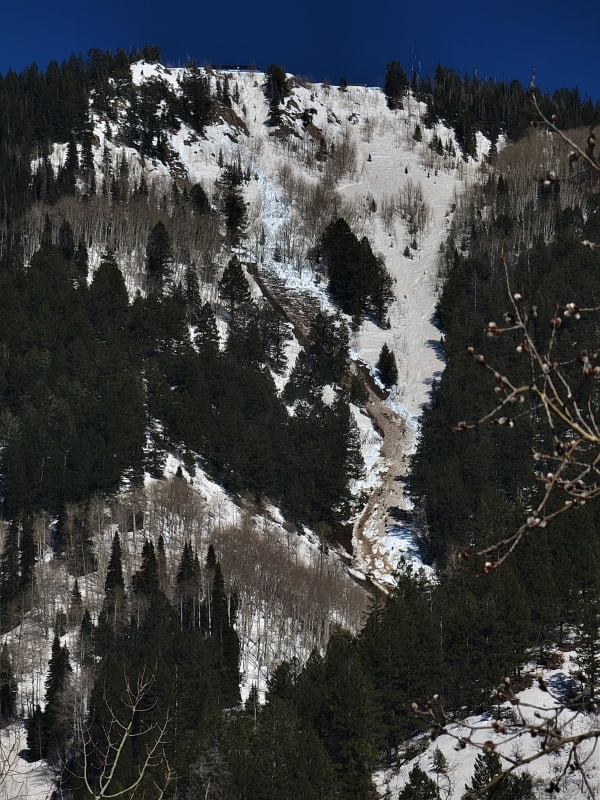 Observation photo 1