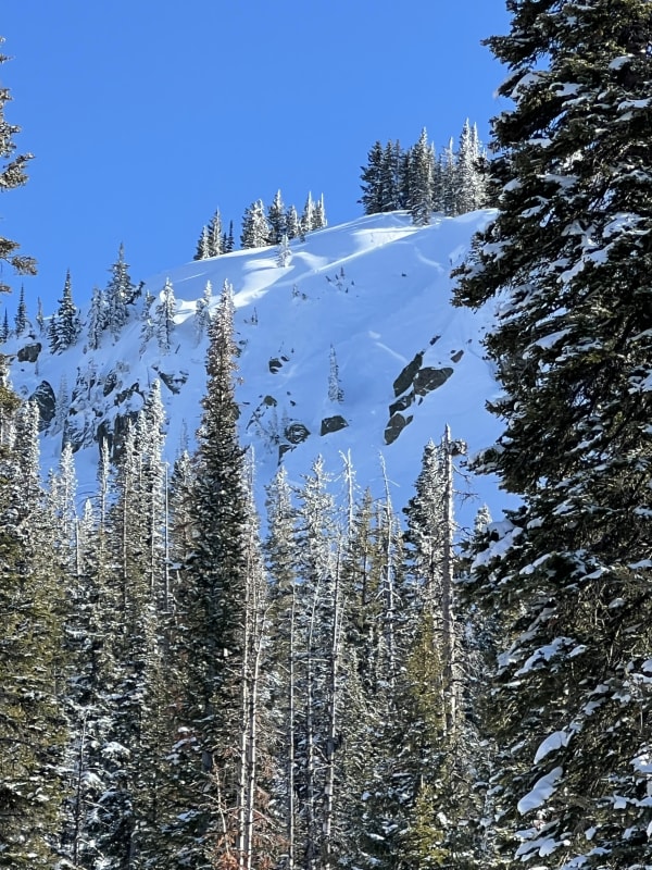 Observation photo 2